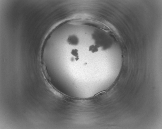 X0000068841192200605191917