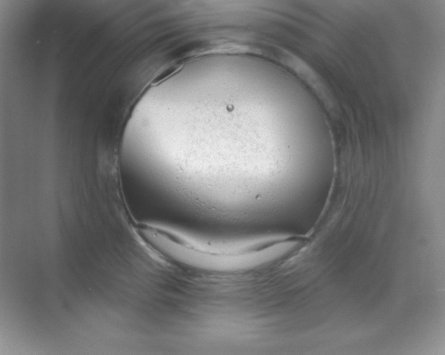 X0000068841193200605191917