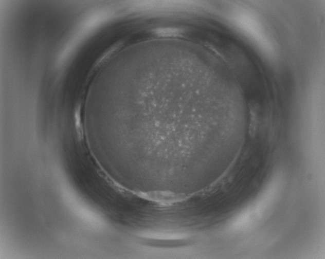 X0000068841198200605191917