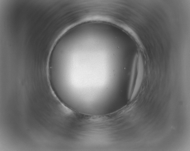 X0000068841199200605191917