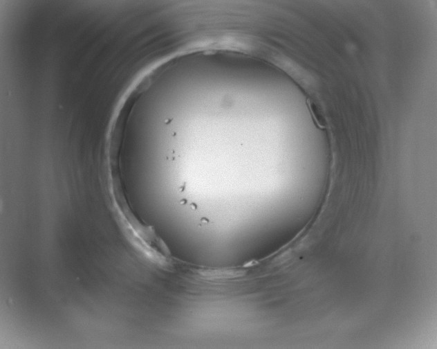 X0000068841200200605191917