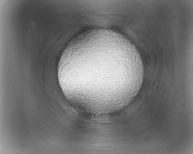 X0000068841201200605191916