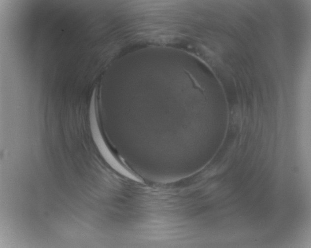 X0000068841202200605191916