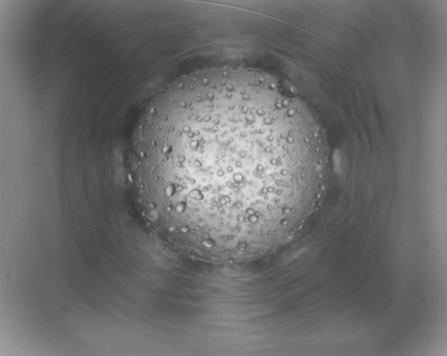 X0000068841203200605191916