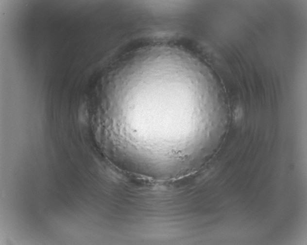 X0000068841204200605191916