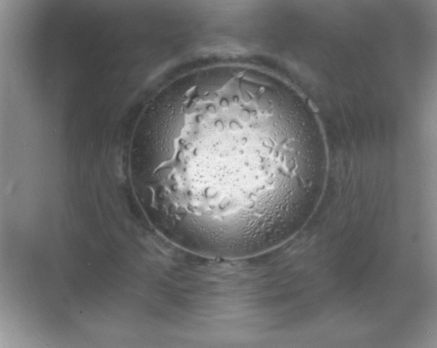 X0000068841205200605191916