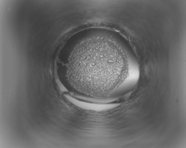 X0000068841206200605191916