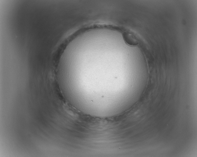 X0000068841207200605191917