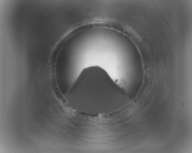 X0000068841208200605191917