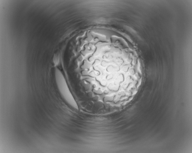 X0000068841209200605191917