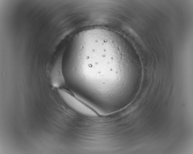 X0000068841210200605191917