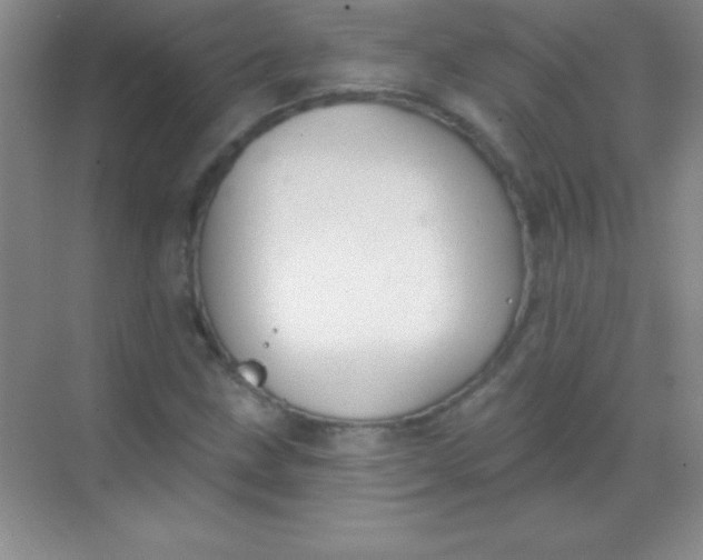 X0000068841211200605191917