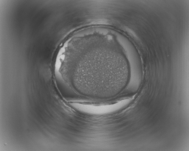 X0000068841212200605191917