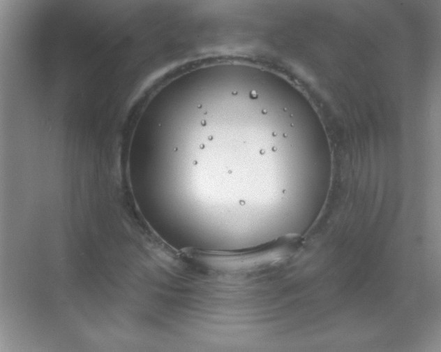 X0000068841214200605191917