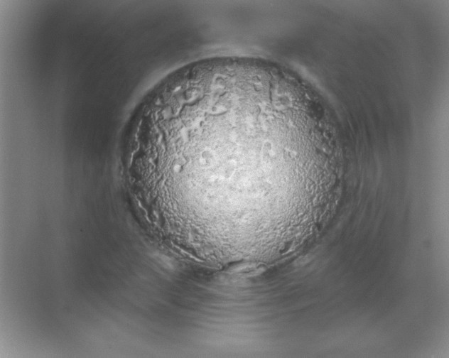 X0000068841215200605191917