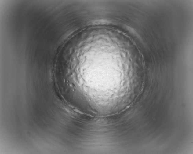 X0000068841217200605191917