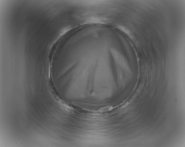 X0000068841219200605191917