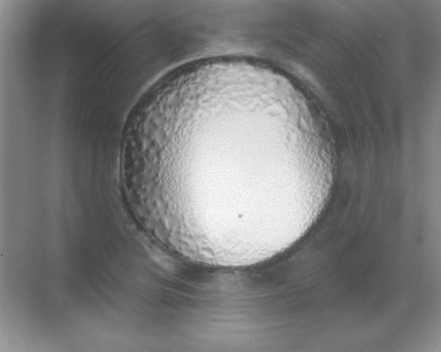 X0000068841220200605191917