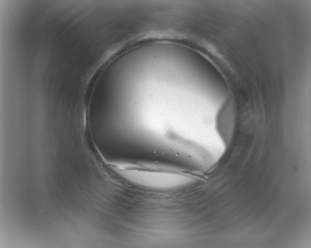 X0000068841221200605191917