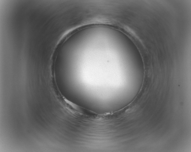 X0000068841222200605191917