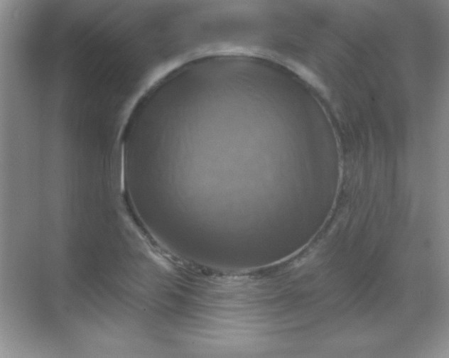 X0000068841223200605191917