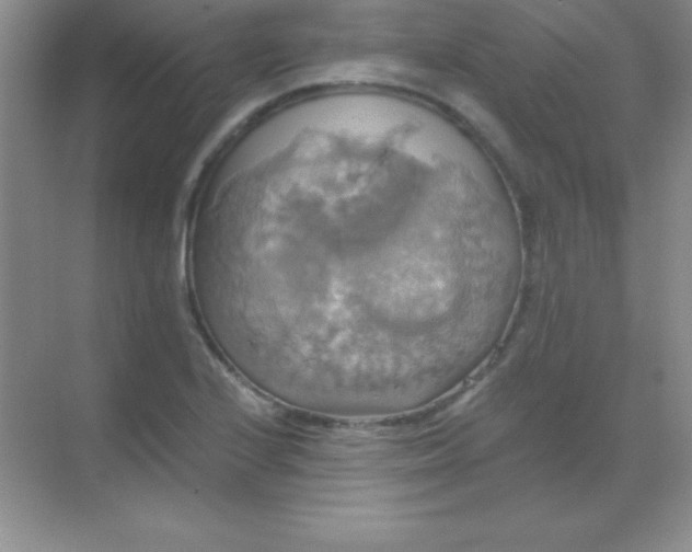 X0000068841224200605191917