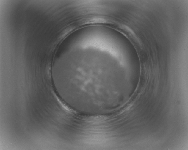 X0000068841225200605191917