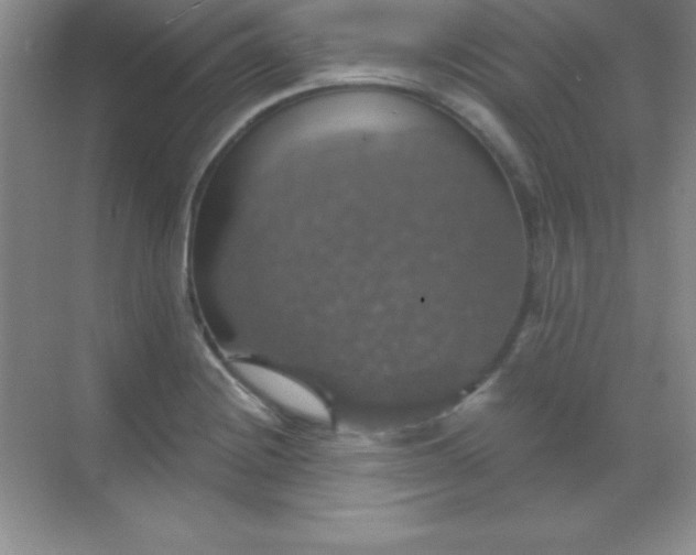 X0000068841228200605191917