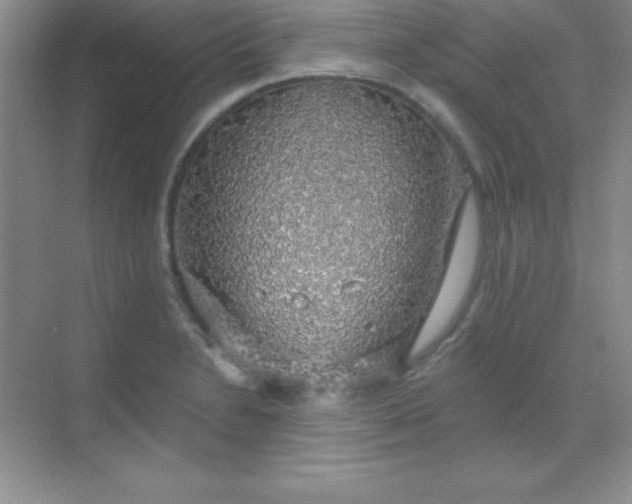 X0000068841230200605191917