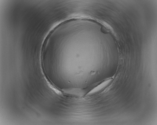 X0000068841231200605191917