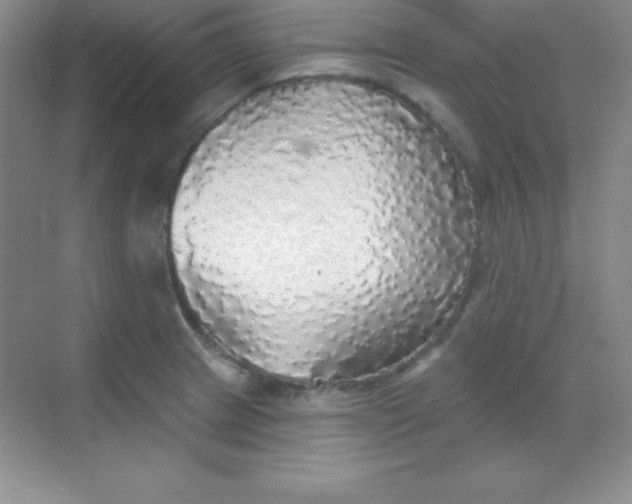 X0000068841233200605191917