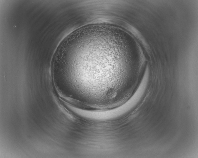 X0000068841234200605191917