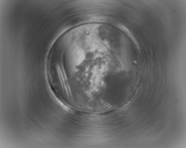 X0000068841235200605191917