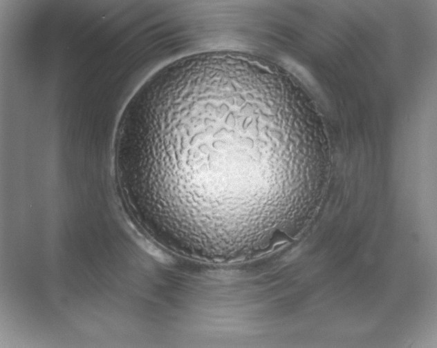 X0000068841236200605191917