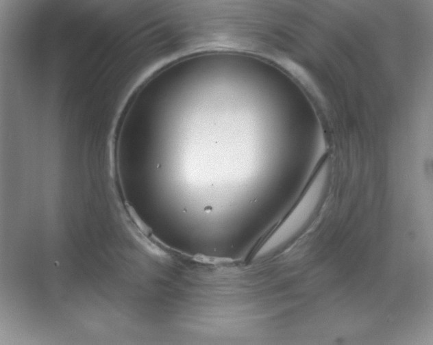 X0000068841238200605191917