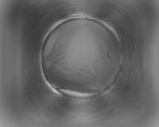 X0000068841239200605191917