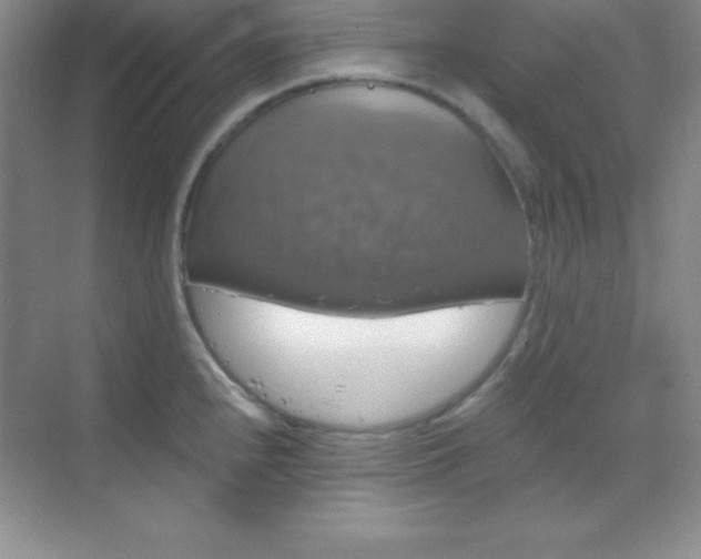 X0000068841240200605191917