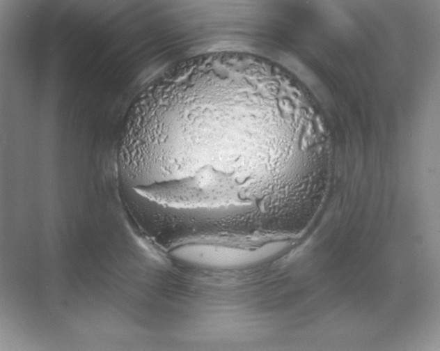 X0000068841241200605191917