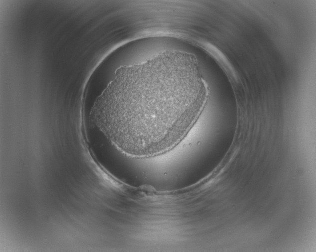 X0000068841244200605191917