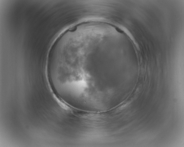 X0000068841245200605191917