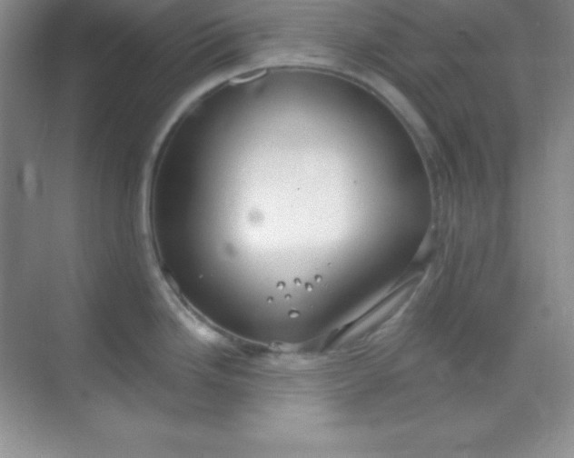 X0000068841246200605191917