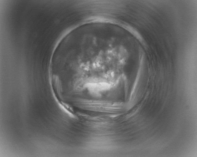 X0000068841247200605191917