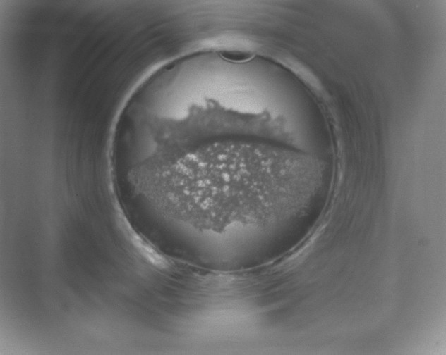 X0000068841248200605191917