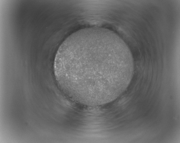 X0000068841249200605191916