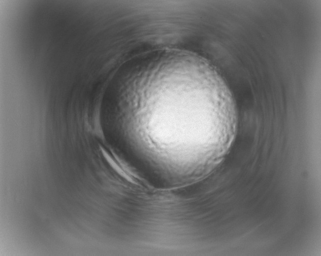 X0000068841250200605191916