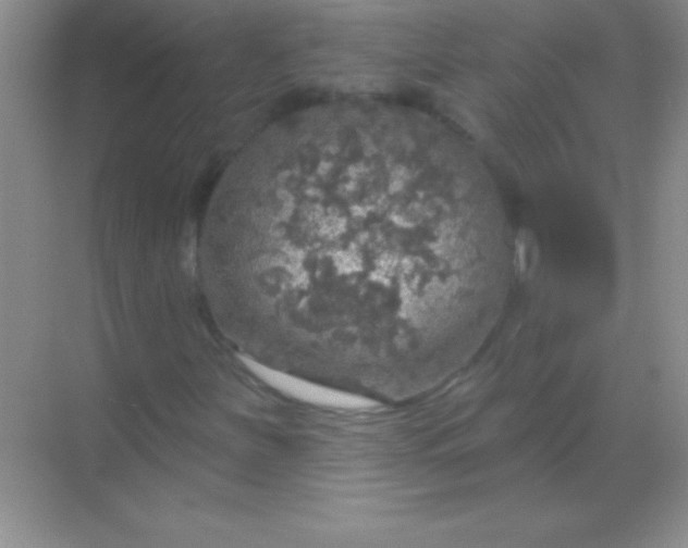 X0000068841251200605191916