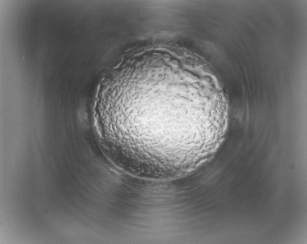 X0000068841252200605191916