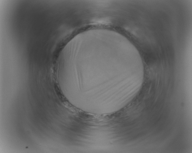 X0000068841254200605191916