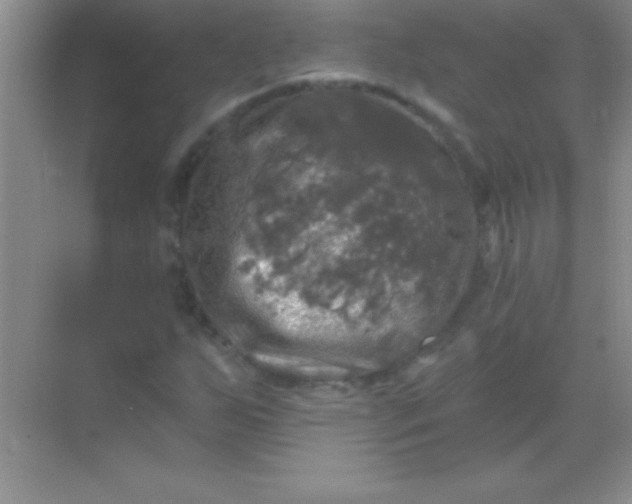 X0000068841255200605191916