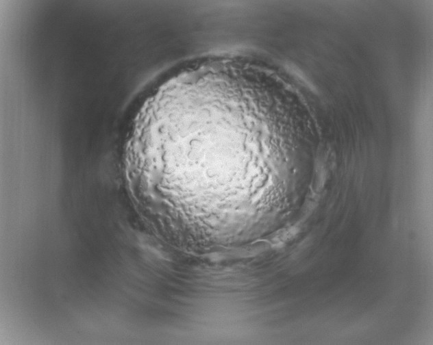 X0000068841256200605191916